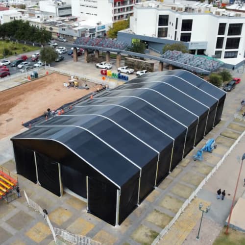 Carpa 6